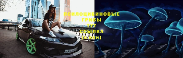 дмт Костерёво