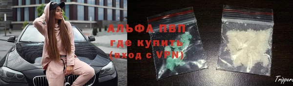 дмт Костерёво