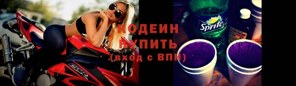 дмт Костерёво