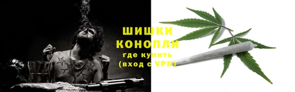дмт Костерёво