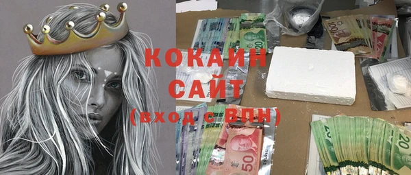 дмт Костерёво