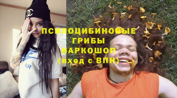 дмт Костерёво