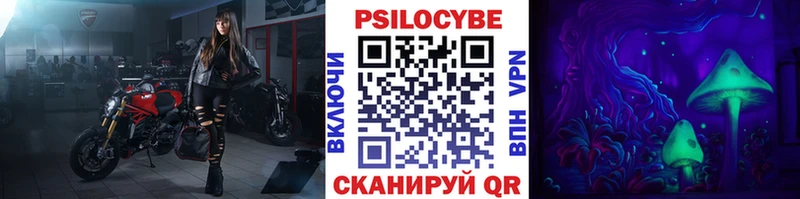 Купить закладки  Саратов  Псилоцибиновые грибы Psilocybe 